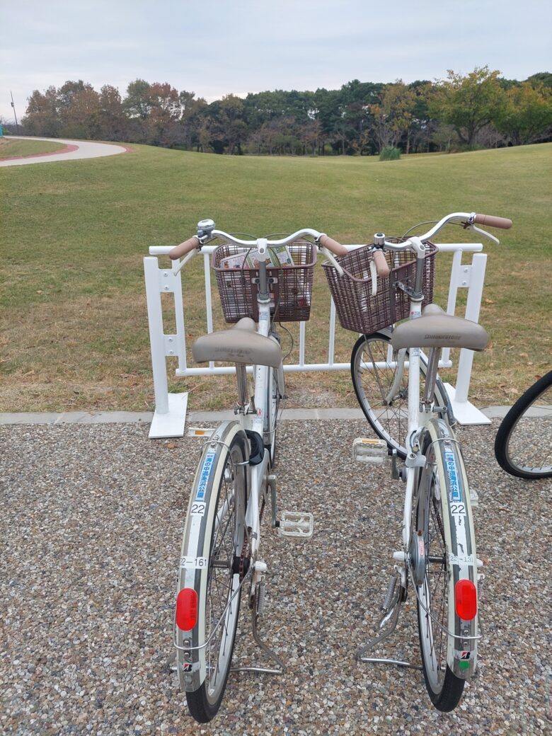 海の中道海浜公園　サイクリング