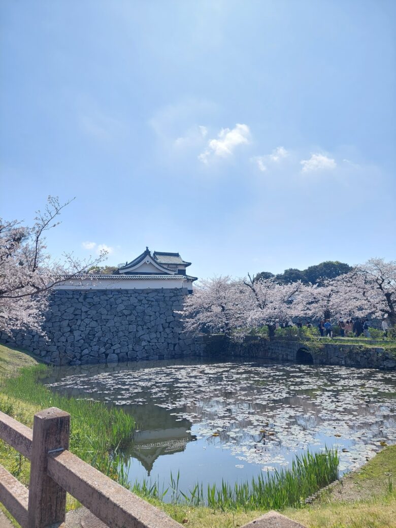 福岡城さくらまつり