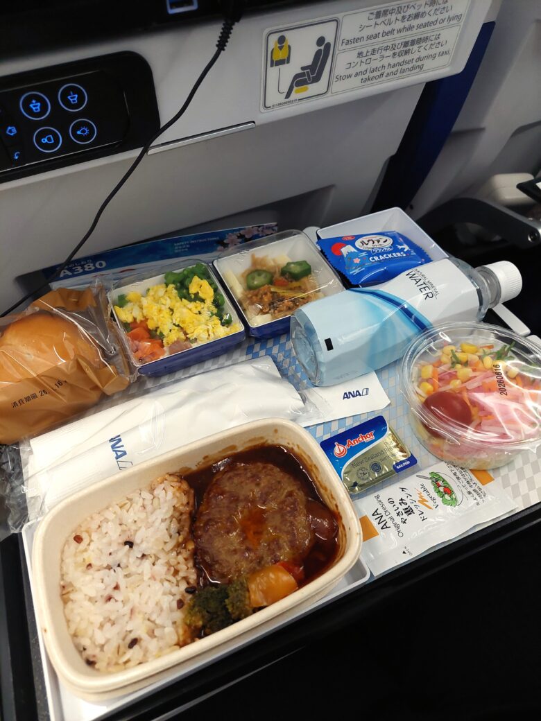 フライングホヌ　機内食